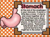 Where Does Your Dinner Go?  Bulletin Board