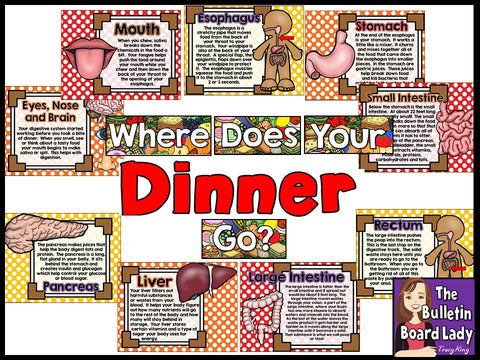 Where Does Your Dinner Go?  Bulletin Board